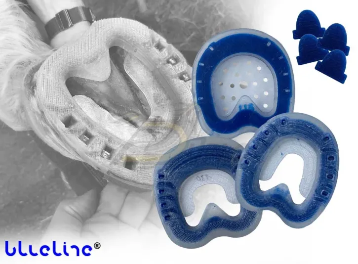 blueline® evo! — Ferratura combinata per incollaggio e chiodatura blueline® evo! — Ferratura combinata per incollaggio e chiodatura