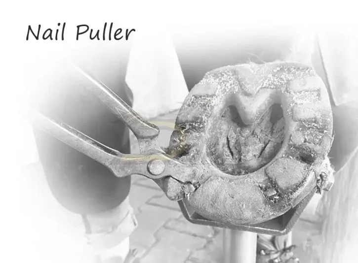 Nagelziehzangen / Papageienzangen – genagelte Hufeisen einfach abnehmen Nagelziehzangen / Papageienzangen – genagelte Hufeisen einfach abnehmen