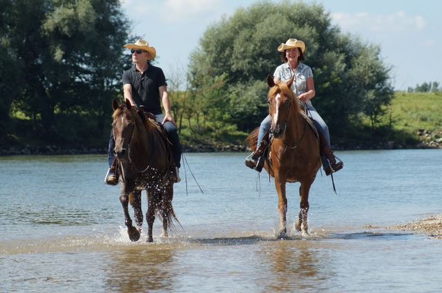 Zwei Reiter reiten in der Donau.