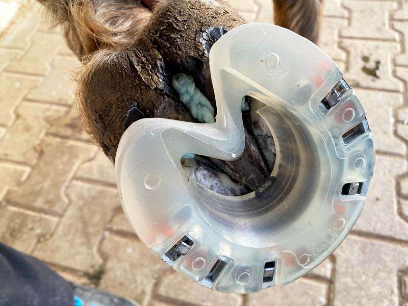 Horseshoe that has been modified above the central groove.