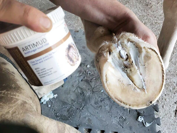 Un maniscalco solleva lo zoccolo e mostra un barattolo di Artimud&reg; di Red Horse&reg;