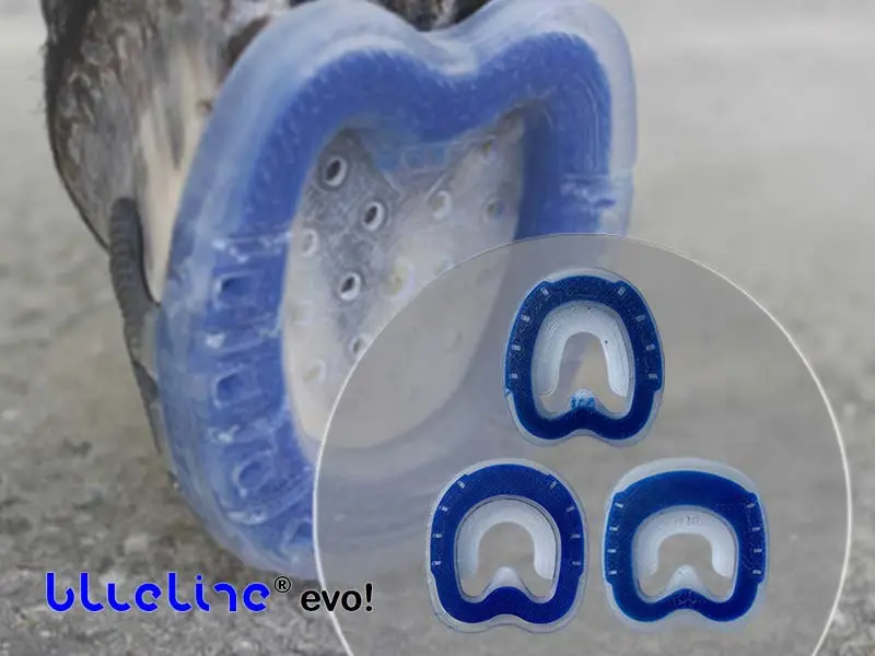 Le tre forme disponibili della ferratura blueline® evo in plastica con nucleo blu — rotonda, ovale e con punta facilitata. Sullo sfondo uno zoccolo poggiato sulla punta con ferratura evo e piastra forata.