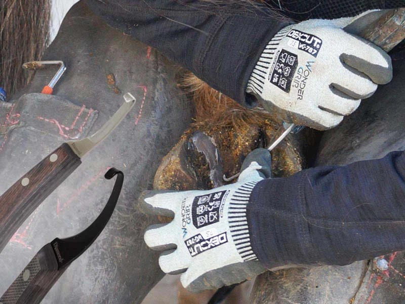 A female farrier works on a hoof using a hoof knife. She is wearing cut-resistant gloves.
