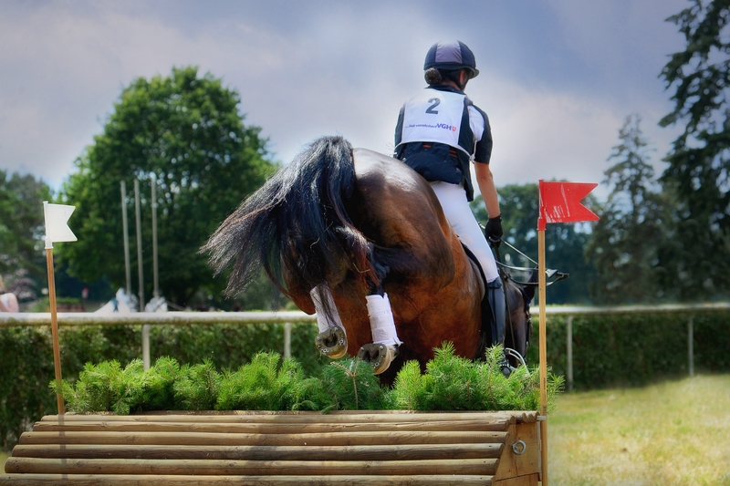 un caballo salta un obstáculo en una competición de salto de obstáculos, se pueden ver los cascos traseros herrados con herraduras alternativas