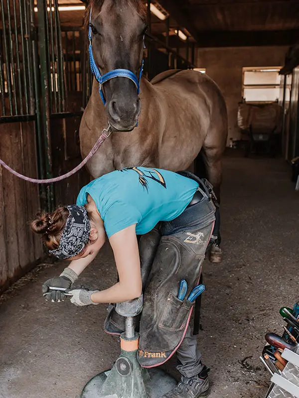 Un cheval se tient dans l'allée d'écurie. L'antérieur est posé sur un support Hoofjack. Une maréchale-ferrante rive les clous de ferrure. Elle porte un t-shirt turquoise Engelbert Strauss avec le logo du fabricant de fers à cheval.