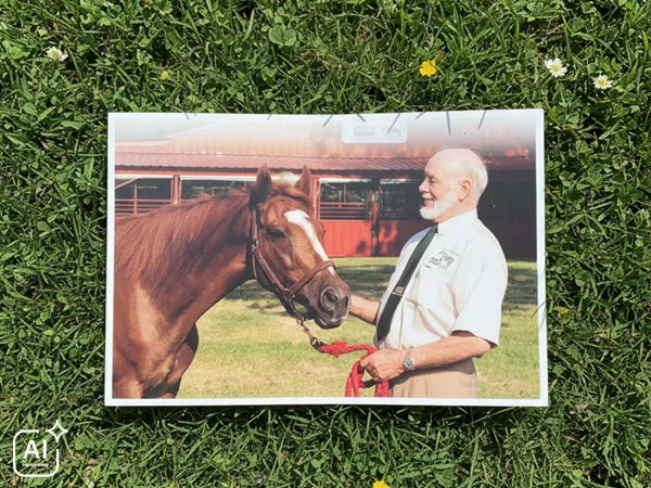 A man stands next to a horse in a meadow, holding a halter, both looking at each other.