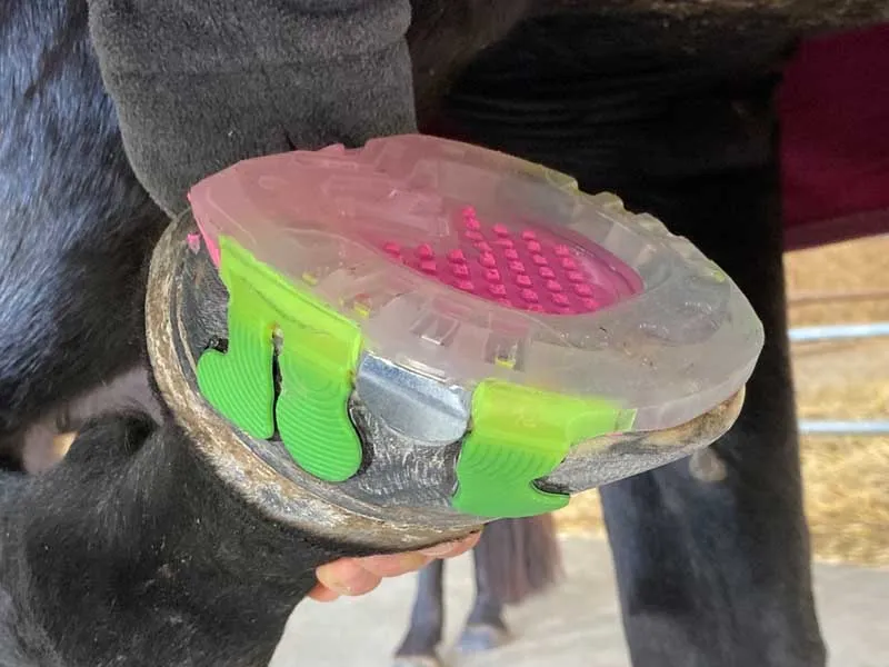 ferratura adesiva con barbette e zona della suola chiusa con materiale di imbottitura SHUDIM pink