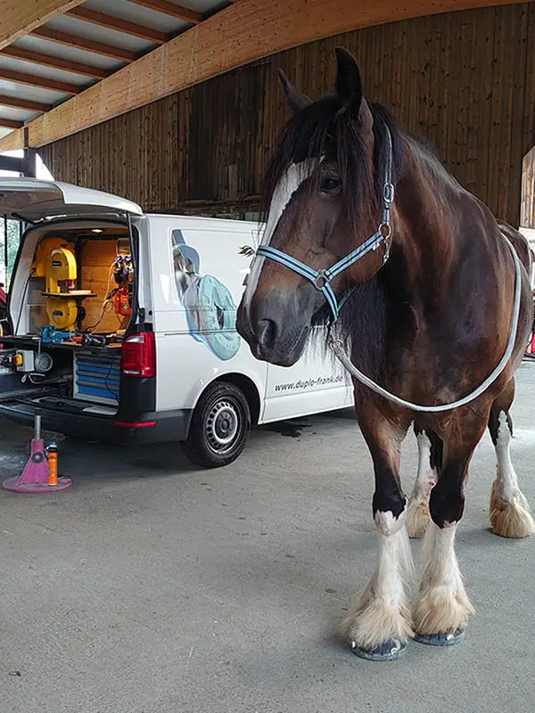 Un cavallo da tiro davanti al furgone del maniscalco, con zoccoli ferrati con ferri alternativi incollati; sullo sfondo si vede lo SHU Cleaner di glue-u accanto al cavalletto poggiopiede.