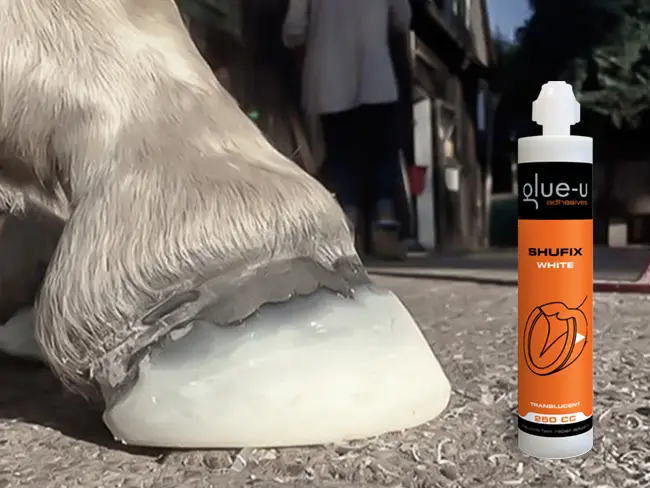 Primo piano di uno zoccolo di puledro riparato con SHUFIX su pietre, accanto una cartuccia SHUFIX di glue-u