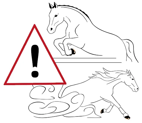 Avertissement pour les disciplines équestres avec des contraintes élevées et des efforts de cisaillement sur la protection du sabot, comme le concours complet, le saut d’obstacles, le barrel racing et le reining.