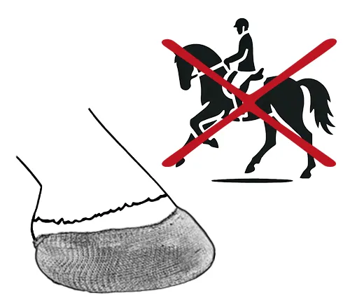 Un cheval avec un fer « cast » ne doit pas être monté.