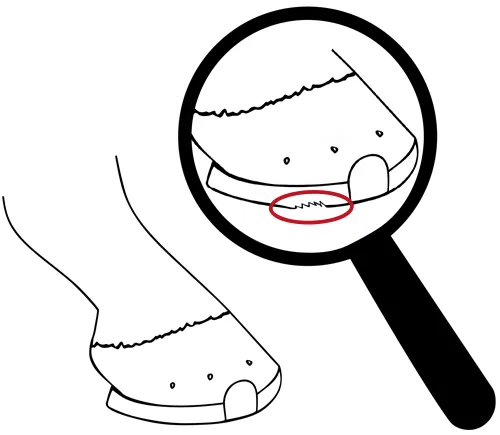 Points à surveiller lors du contrôle quotidien de la protection du sabot : face d’appui usée et effilochée d’une ferrure Duplo.