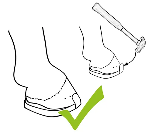 Le pinçon de la ferrure Duplo est ajusté à l’angle de la paroi du sabot à l’aide d’un marteau.