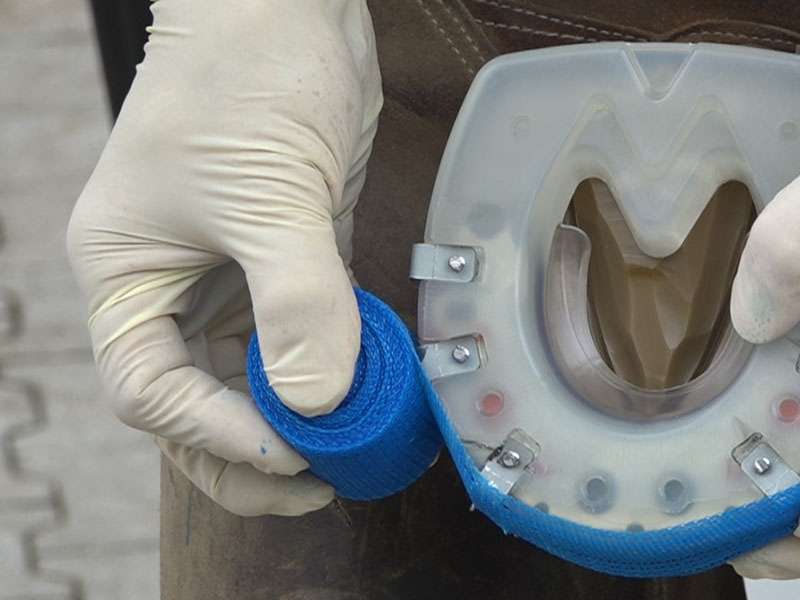 The farrier wears disposable gloves and wraps a cast bandage around the hoof to secure a cast shoe.