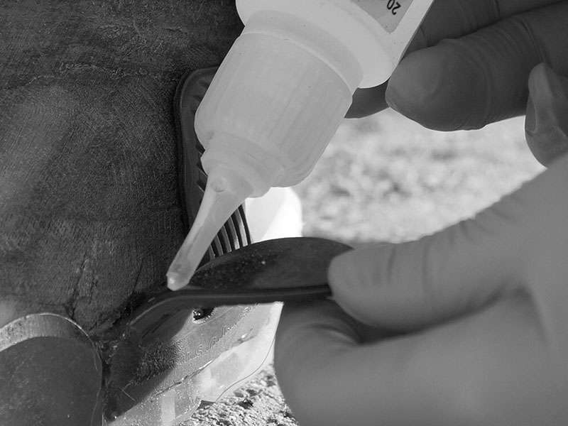 a farrier wears disposable gloves while working with the instant adhesive to glue the glue-on tabs to the hoof