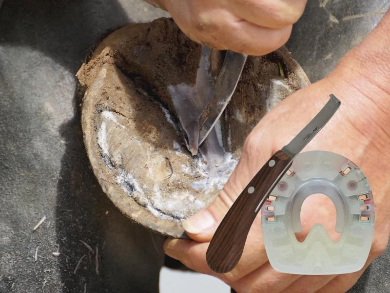 En segundo plano, se recorta el casco de un caballo grande con una legra; en primer plano, se ve una herradura compuesta HDS y una legra Hauptner.