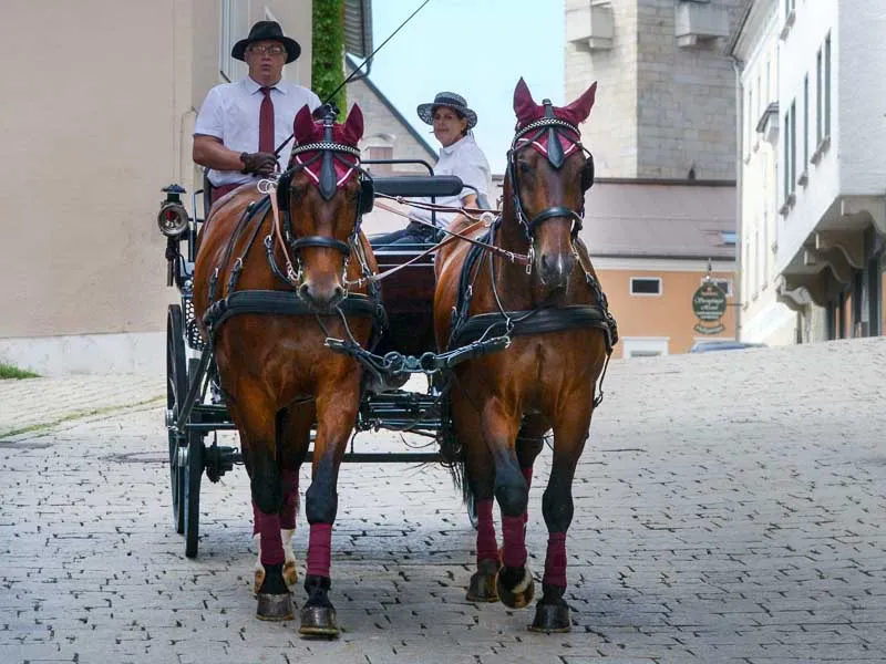carrozza su selciato in cittá