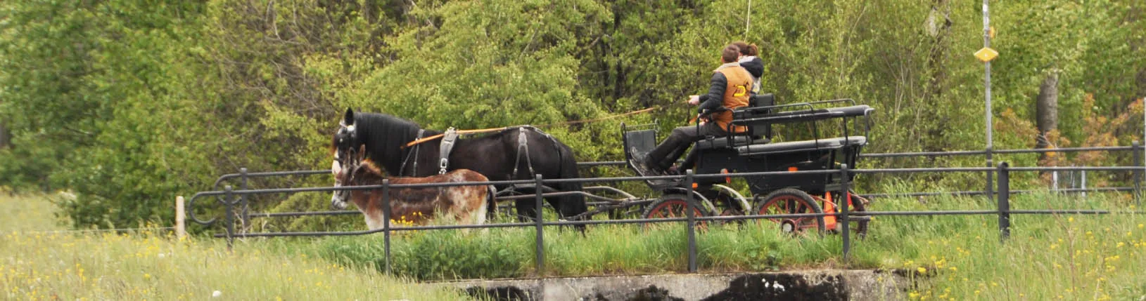Una coppia attraversa un ponte in carrozza e un asino cammina accanto a loro