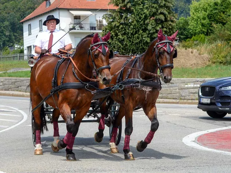 La carrozza in città