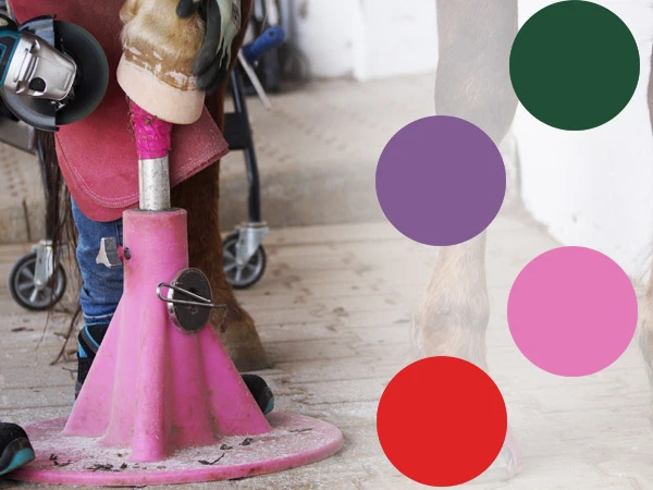 Kerckhaert Hoofjack&reg; Regular in diversi colori – cavalletto poggiapiede stabile con base in plastica verde, viola, rossa e rosa per ferratura e pareggio.