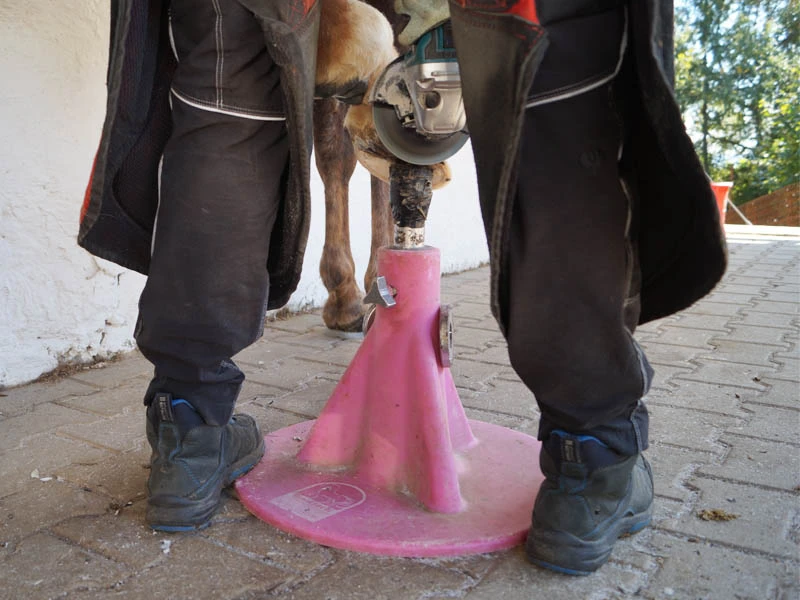 Maniscalco lavora lo zoccolo di un cavallo su un Hoofjack&reg; rosa con smerigliatrice.