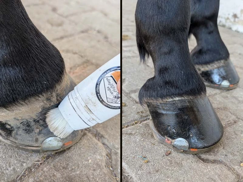 A split photo shows a hoof before and after applying Hoofsmooth.