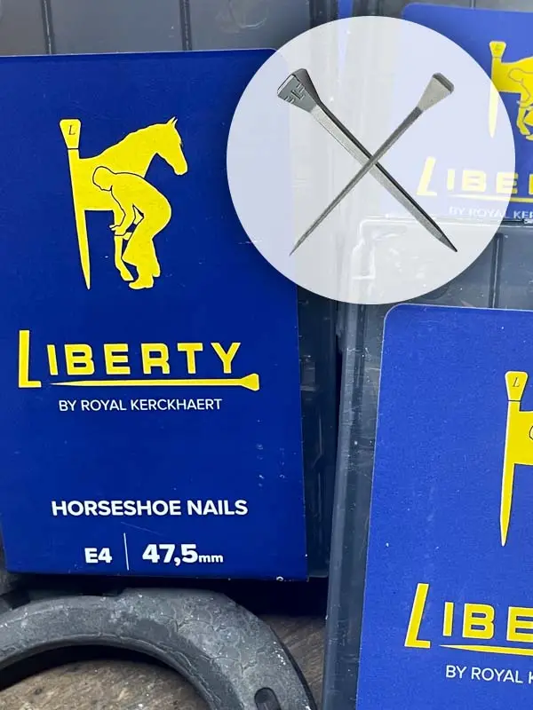 Immagine dei chiodi E di Liberty con confezione blu e dettaglio di un ferro convenzionale