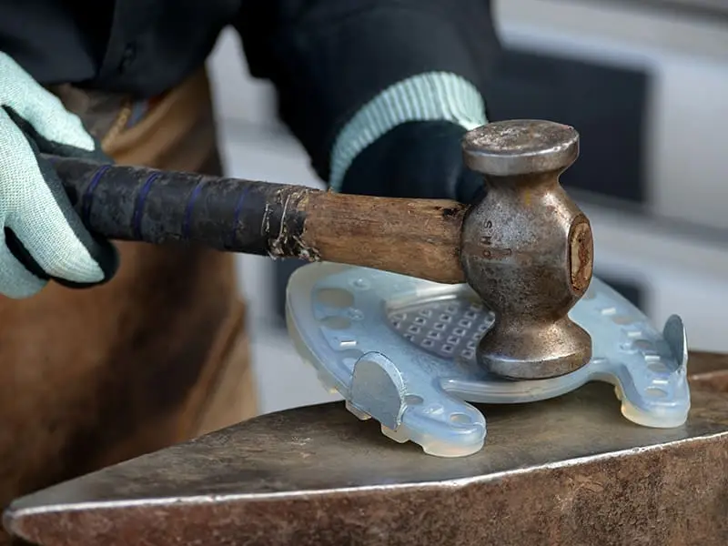 Modificare la ferratura a punta aperta per l'utilizzo in caso di laminite / rifondimento 