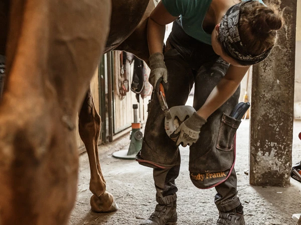 Una maniscalca ferra un cavallo con una ferratura composita. Indossa un grembiule da maniscalco.
