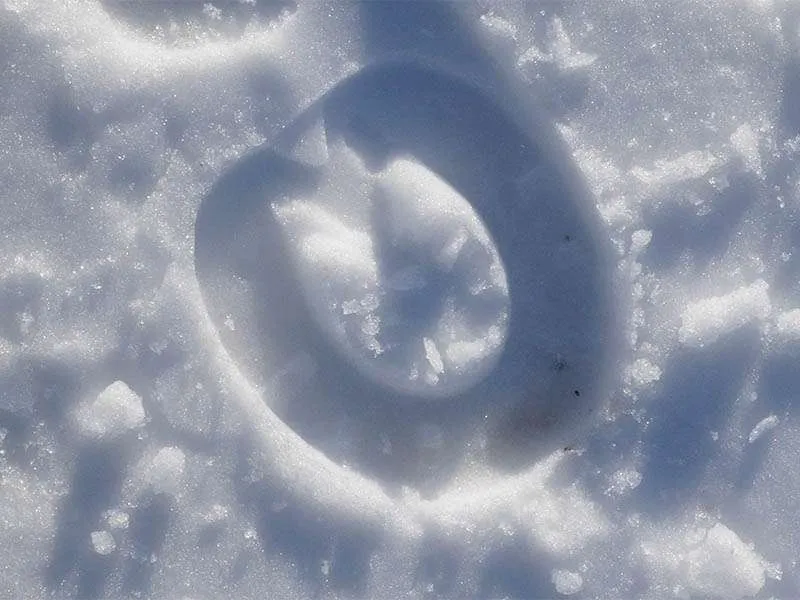 Impronta di un cavallo ferrato con ferrature Duplo nella neve