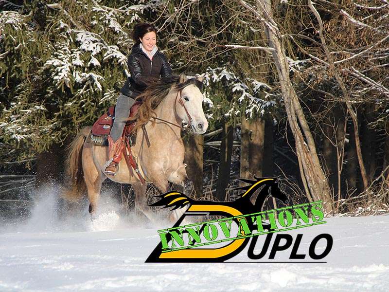 A rider enjoying a gallop through the snow