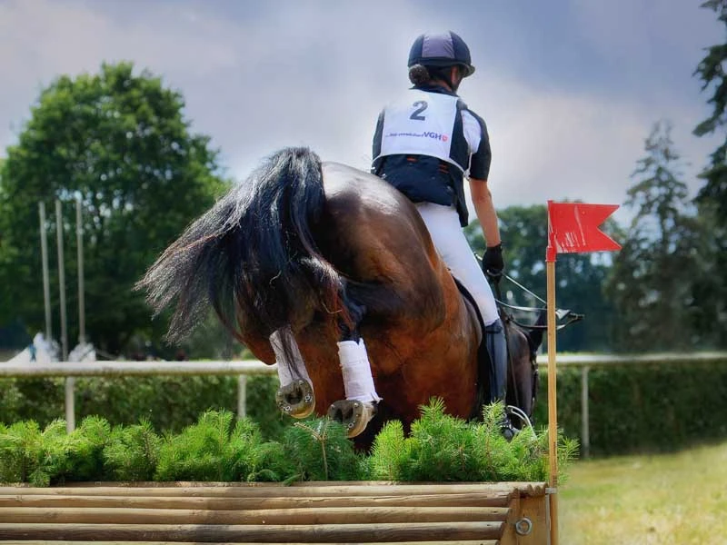 Un cavallo marrone da salto ostacoli salta un ostacolo di legno durante un torneo.