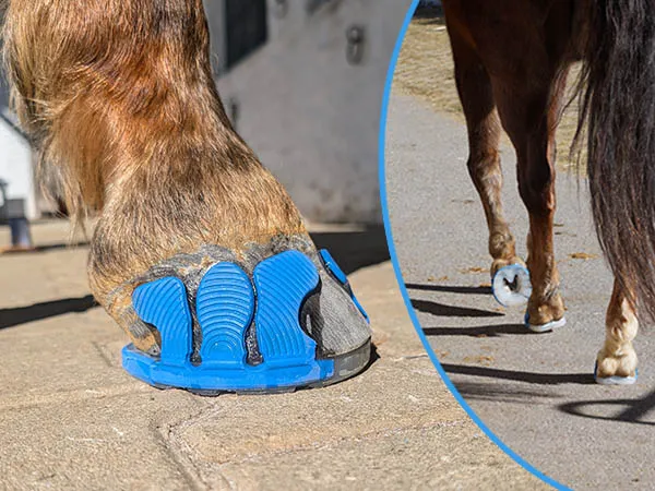 Fer synthétique avec sole ouverte. Gros plan sur les languettes bleues collées au sabot et cheval en mouvement.