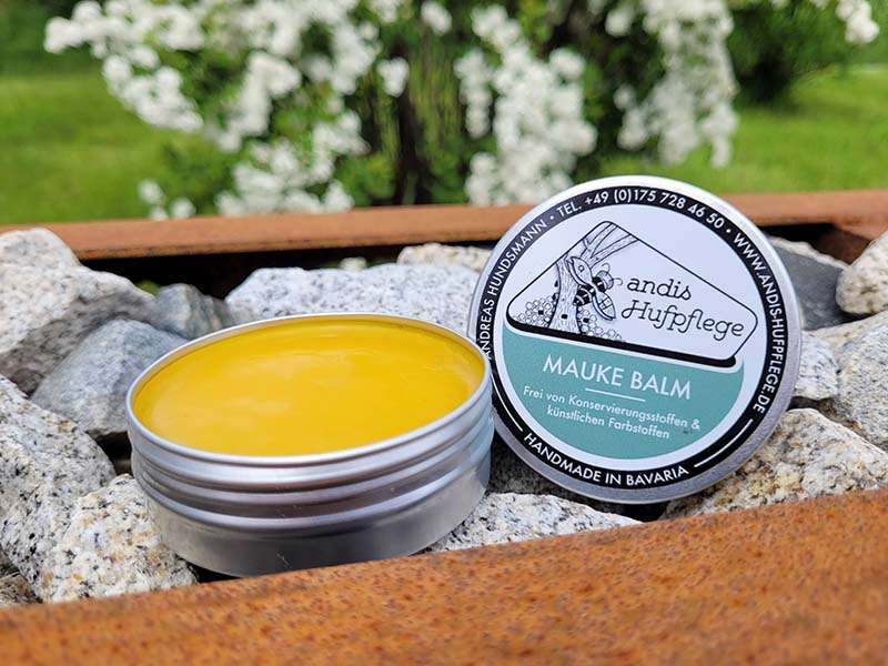 The Mauke (mud fever) Balm by andis Hufpflege rests on stones in front of a flowering shrub.