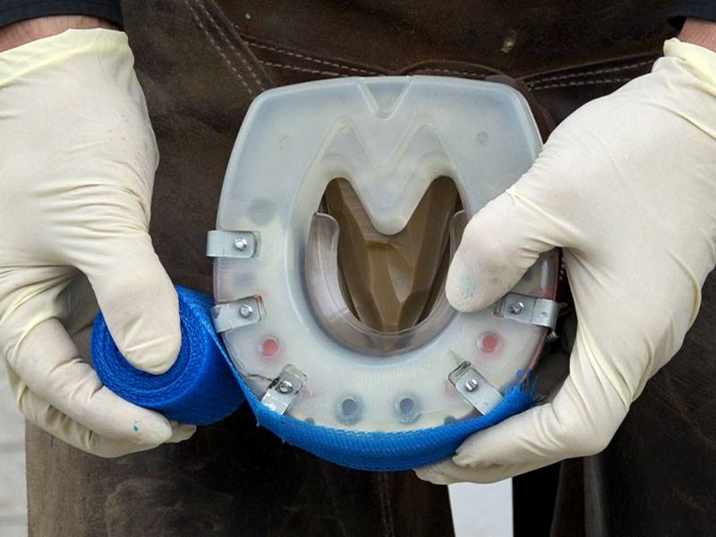 envolver el casco con la venda sintética