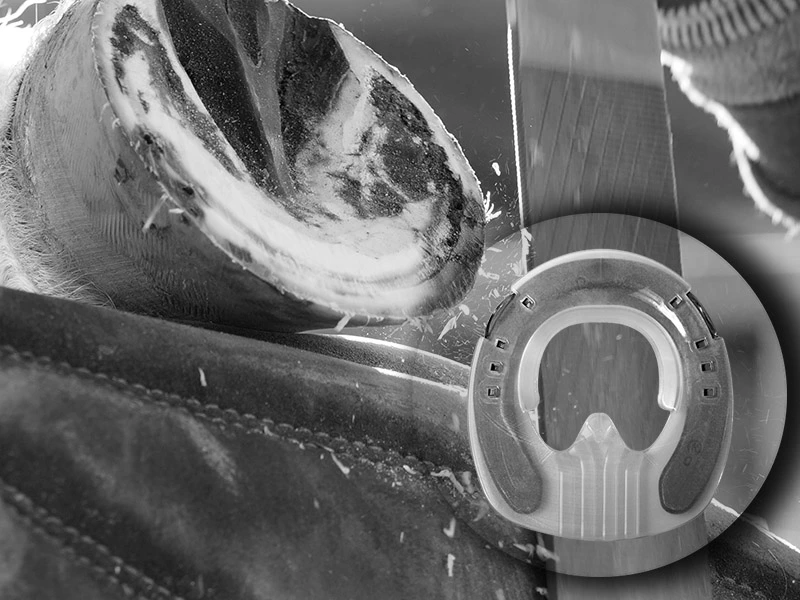 El casco del caballo está apoyado en la pierna del herrador, que lo está escofinando. La imagen también muestra un primer plano de la tapa diseñada para herraduras Kerckhaert Comfort..