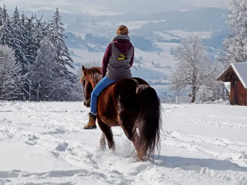cavalière sans selle dans la neige