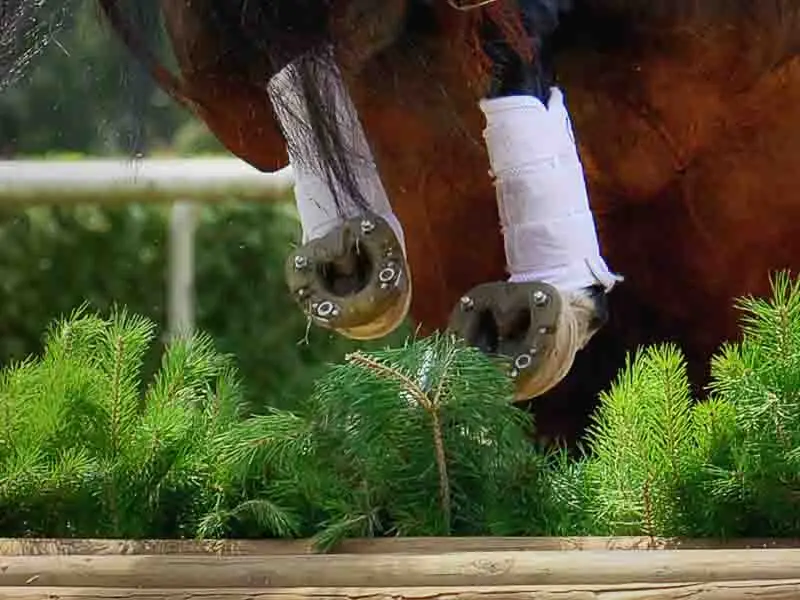 Gros plan des sabots d'un cheval de saut d'obstacles lors du franchissement d'un obstacle. Le cheval est équipé du fer composite Jumper avec quatre trous pour crampons et une gaine en plastique amortissante.