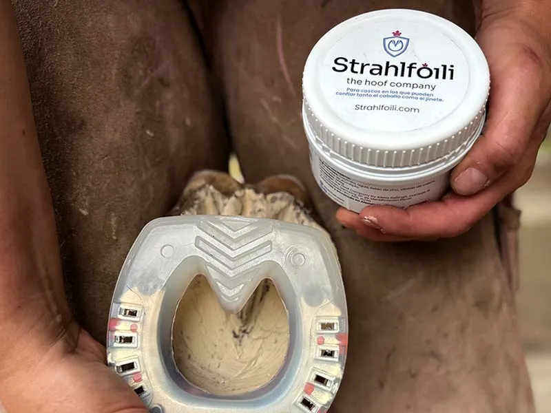 Vista dettagliata di uno zoccolo trattato con Strahlfoili. La maniscalca tiene in una mano il barattolo di Strahlfoili, mentre con l’altra applica una ferratura composita sullo zoccolo del cavallo. Lo zoccolo è fissato tra le sue cosce.