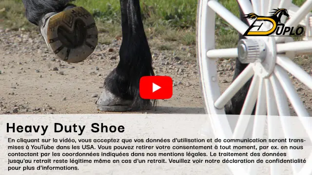 vue sur les grands sabots d'un percherons qui tire une calèche