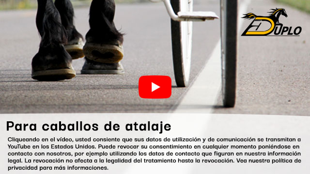 casco de un Percherón, caballo de atalaje