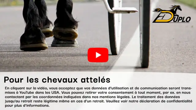 Vidéo : protection de sabot amortissant les chocs pour les chevaux d'attelage