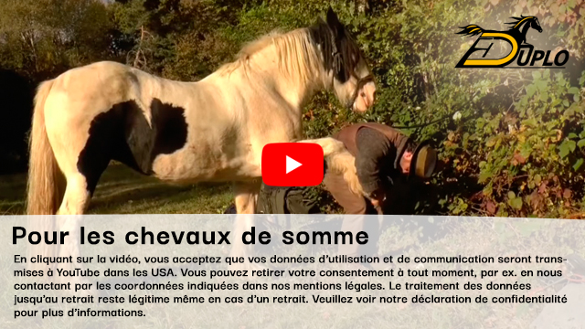 Vidéo : chevaux de bât équipés de ferrures alternatives.